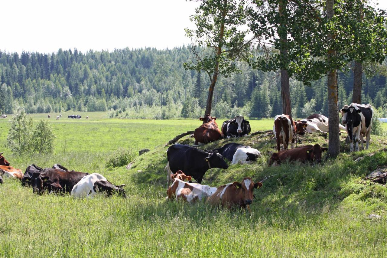 Maekelaen Lomatuvat Bed And Breakfast Korkeakoski  ภายนอก รูปภาพ
